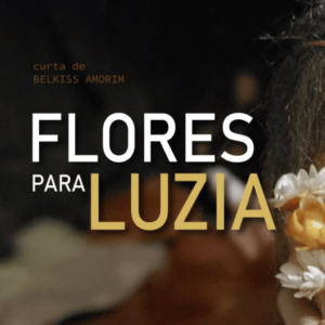 flores para luzia capa