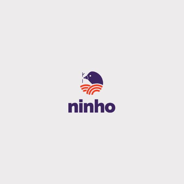 ninho-projeto-educacional-territorio-lundico